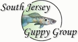 www.south-jersey-guppy-group.com