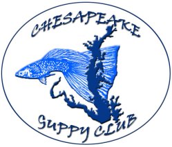 www.chesapeakeguppyclub2004.wordpress.com